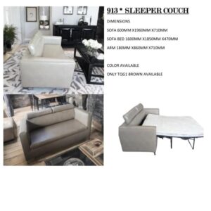 913 Sleeper Couch